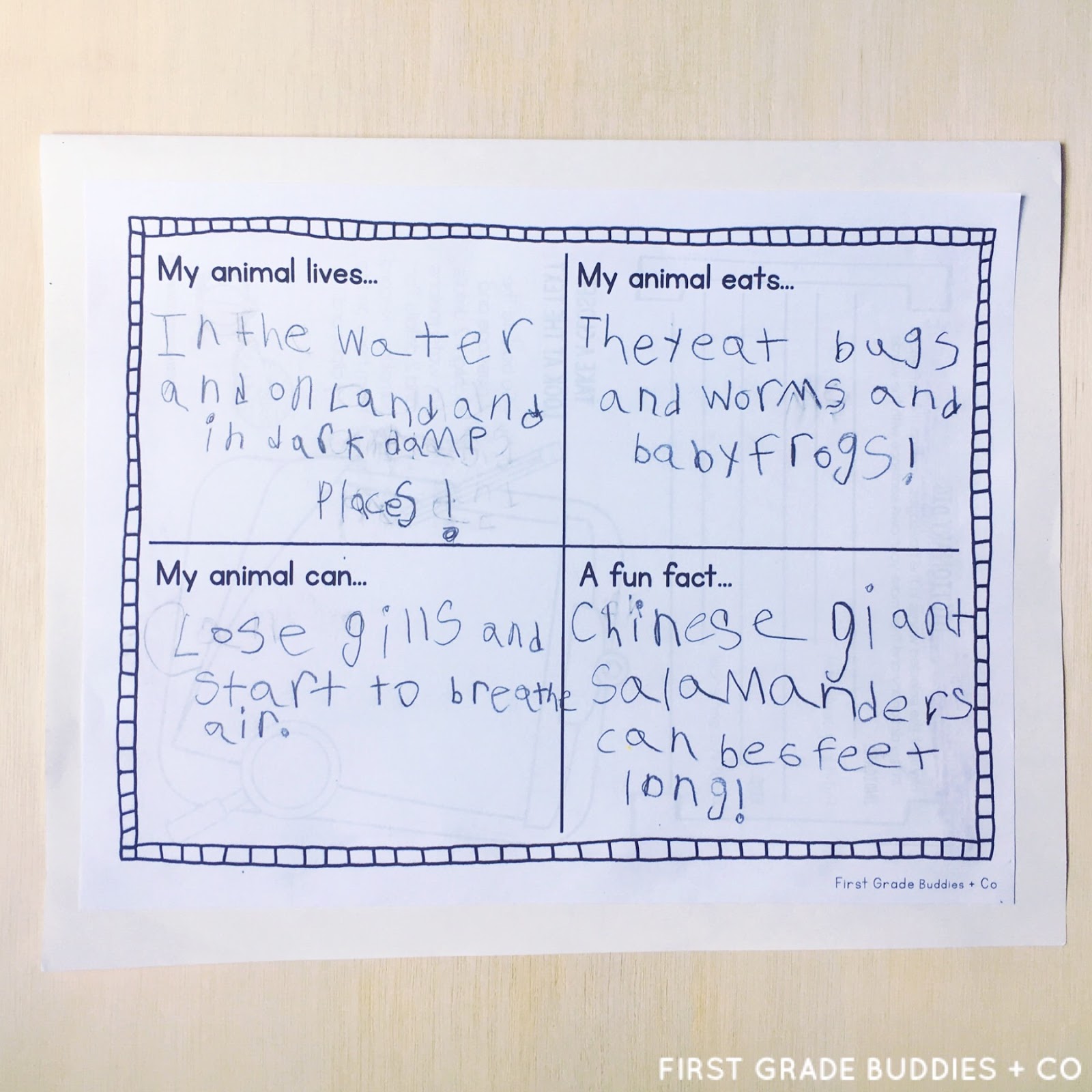 Exploring Animal Habitats | First Grade Buddies