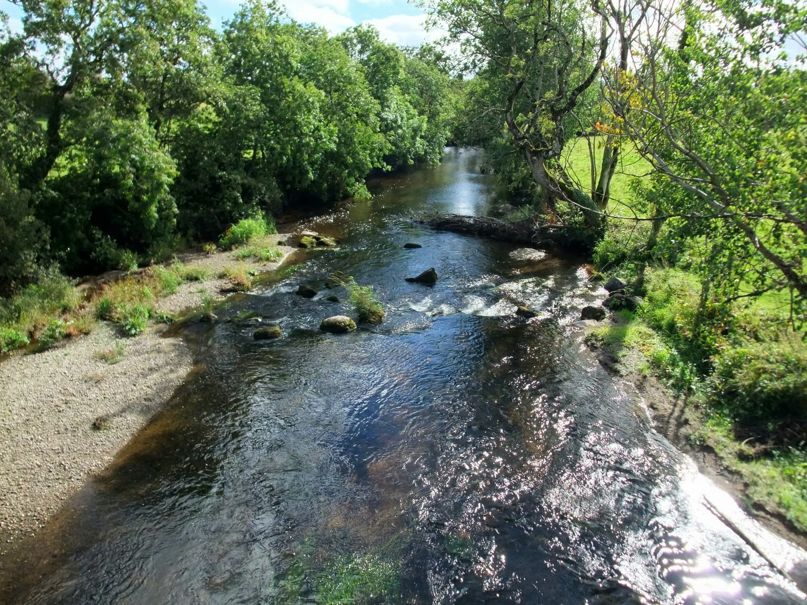 Súil Eile: River Graney, County Carlow, just before it flows into the ...
