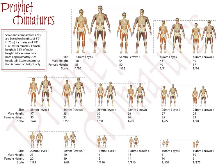 Iron Mammoth s Studio Figure Sculpting Scale Size And Proportion 