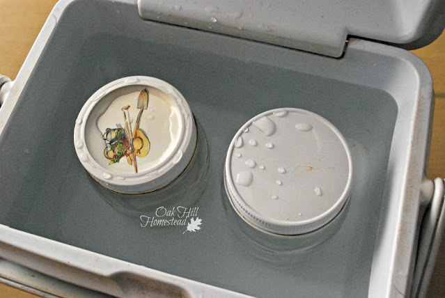 Two pint jars of yogurt-inoculated milk being kept warm in an insulated cooler.