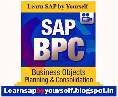 Learn SAP BPC by Yourself