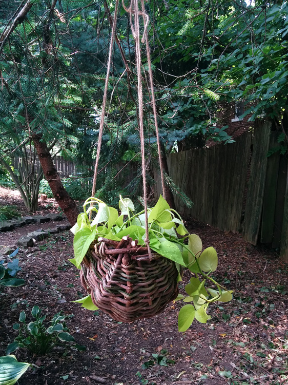 Nessy Designs Wisteria Basket