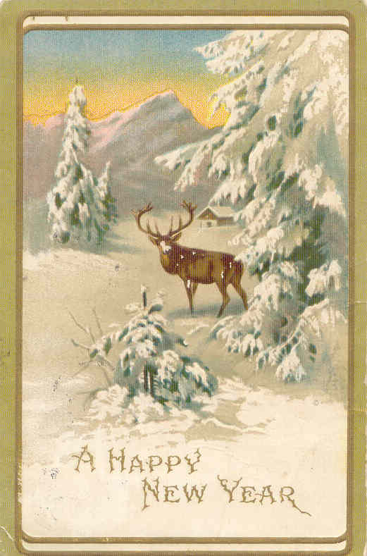 Country style chic: happy new year! gold country girls: December 2011