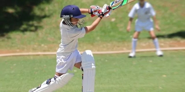 Essay on My Hobby Cricket Essay on My Hobby Cricket