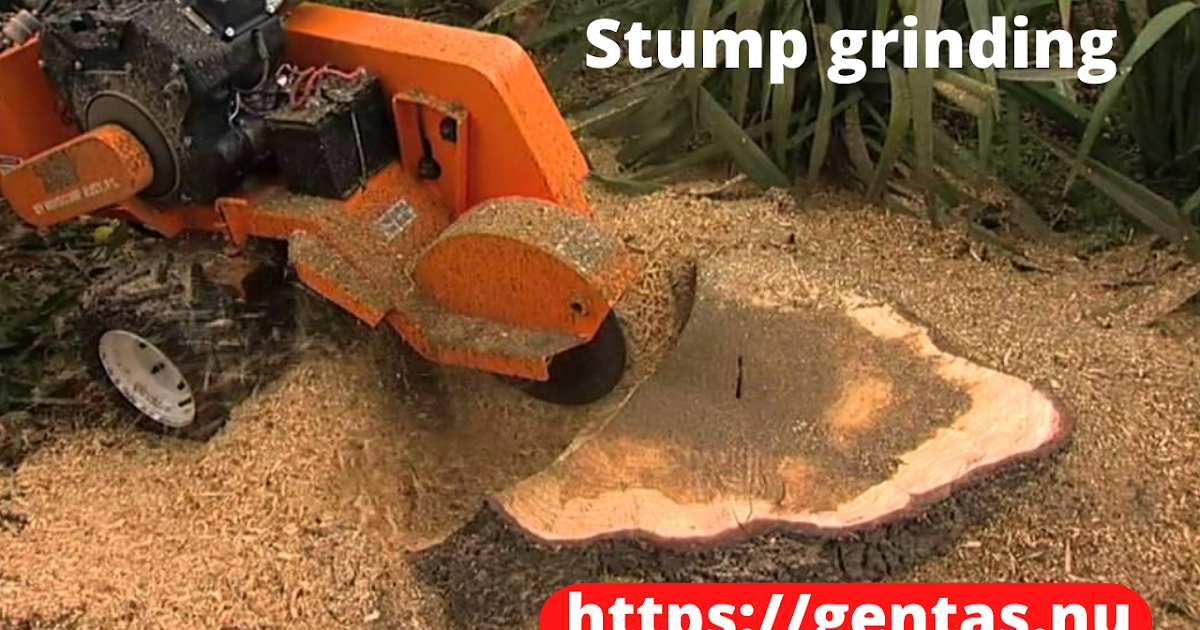 How To Use a Stump Grinder