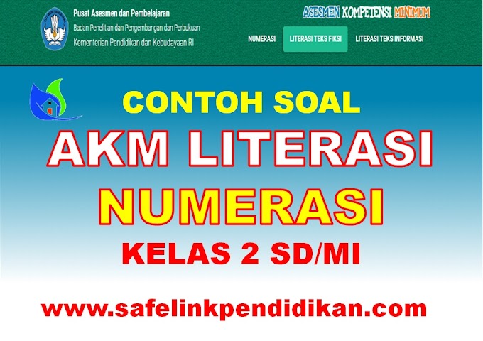 Contoh Soal AKM Level 1 Literasi Dan Numerasi Kelas 2 SD/MI
