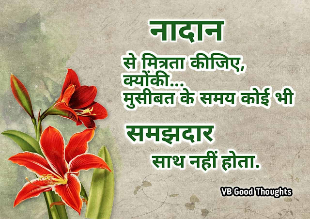 Good Thoughts In Hindi - Best Friendship Quote Images - मित्रता - दोस्ती सुविचार - vb good thoughts Good Thoughts In Hindi - Best Friendship Quote Images - मित्रता - दोस्ती सुविचार - vb good thoughts
