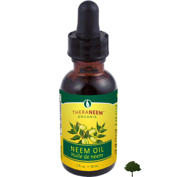 Pets N More FLEA'S How To Safely Get Rid Of Them