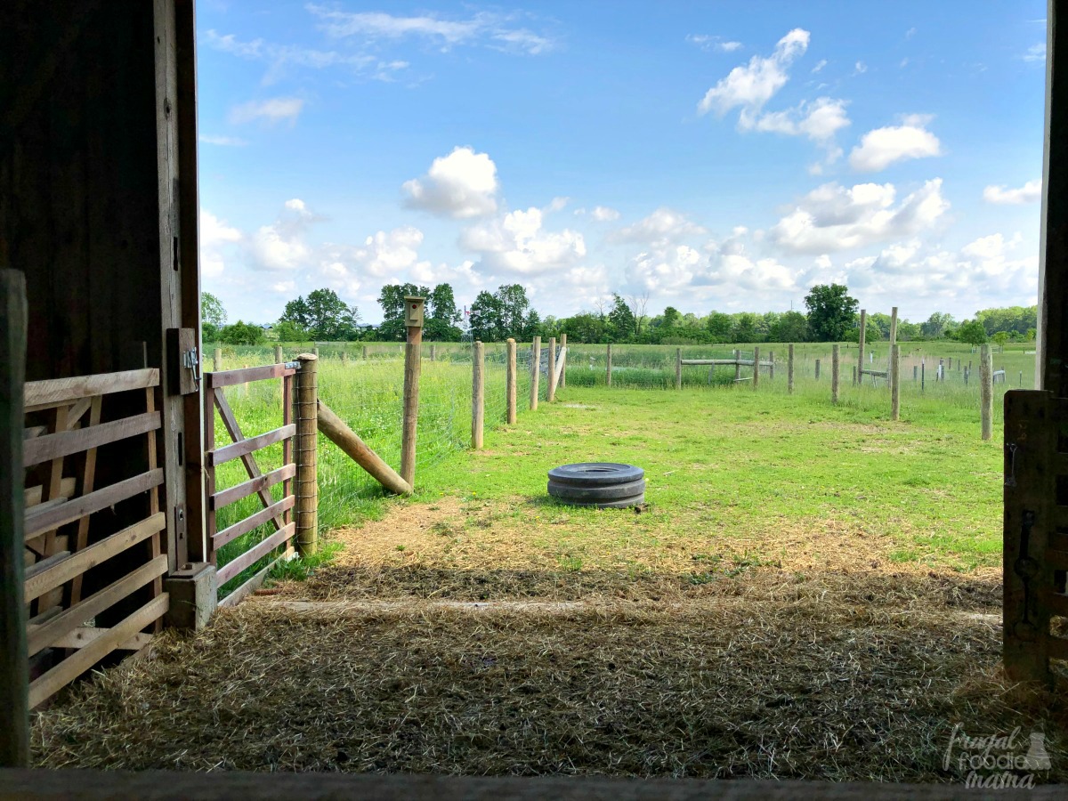 Frugal Foodie Mama 4 Fun Things to Do in Delaware County, Ohio for