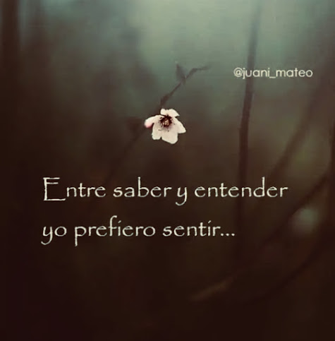 ENTRE SABER Y ENTENDER.