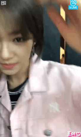 점심 기습 브이라이브 쯔위예요+먹방 정연,사나,모모,나연 출연.gif | 인스티즈