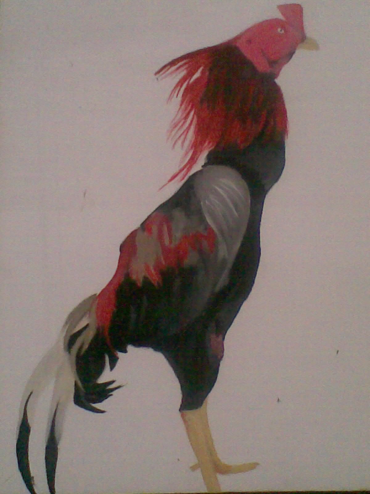 lukisan daus ayam jago lukisan daus ayam jago