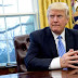 Trump firma orden que impide a EE.UU. financiar grupos pro aborto en exterior.