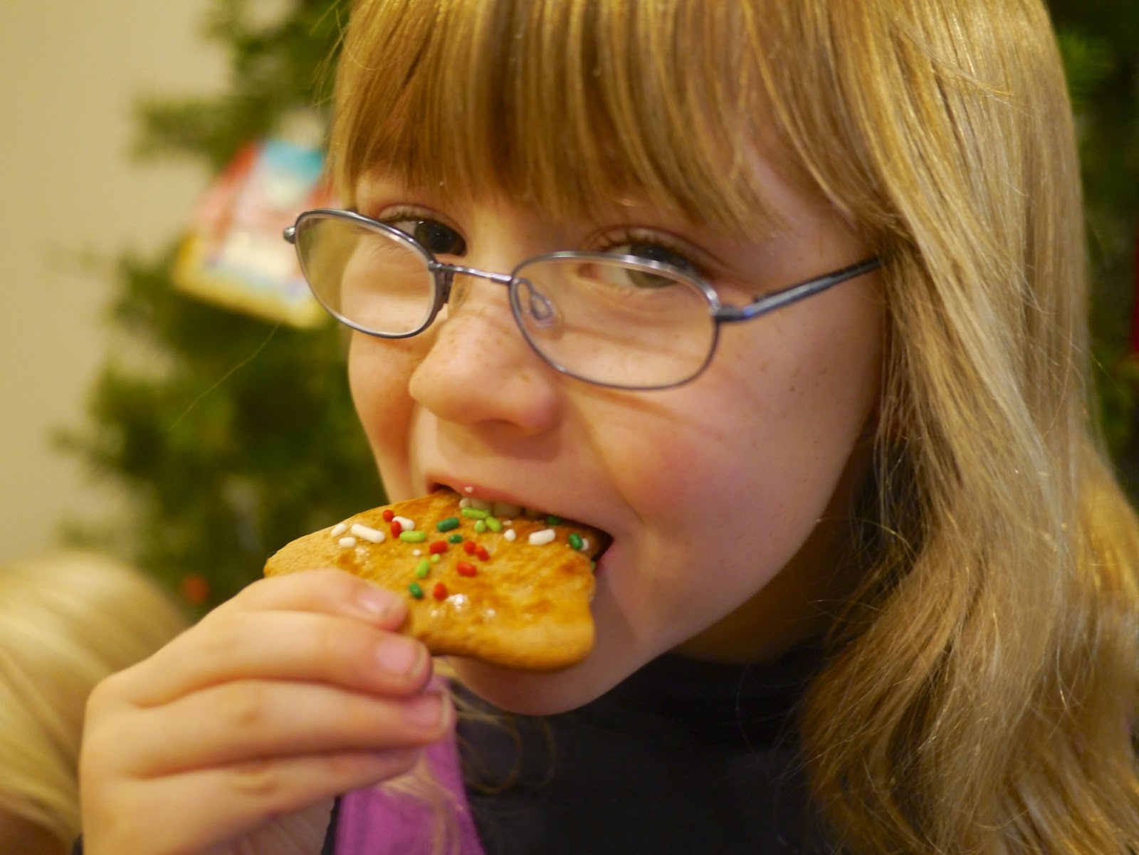 Little Hiccups Christmas Tradition Honey Biscuits