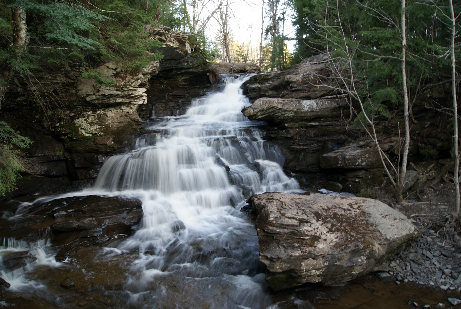 Adventures of the Littlest Hobo Garden Creek Falls
