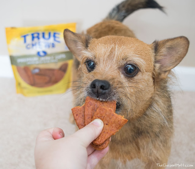 Mini Review: True Chews Premium Jerky Cuts Dog Treats