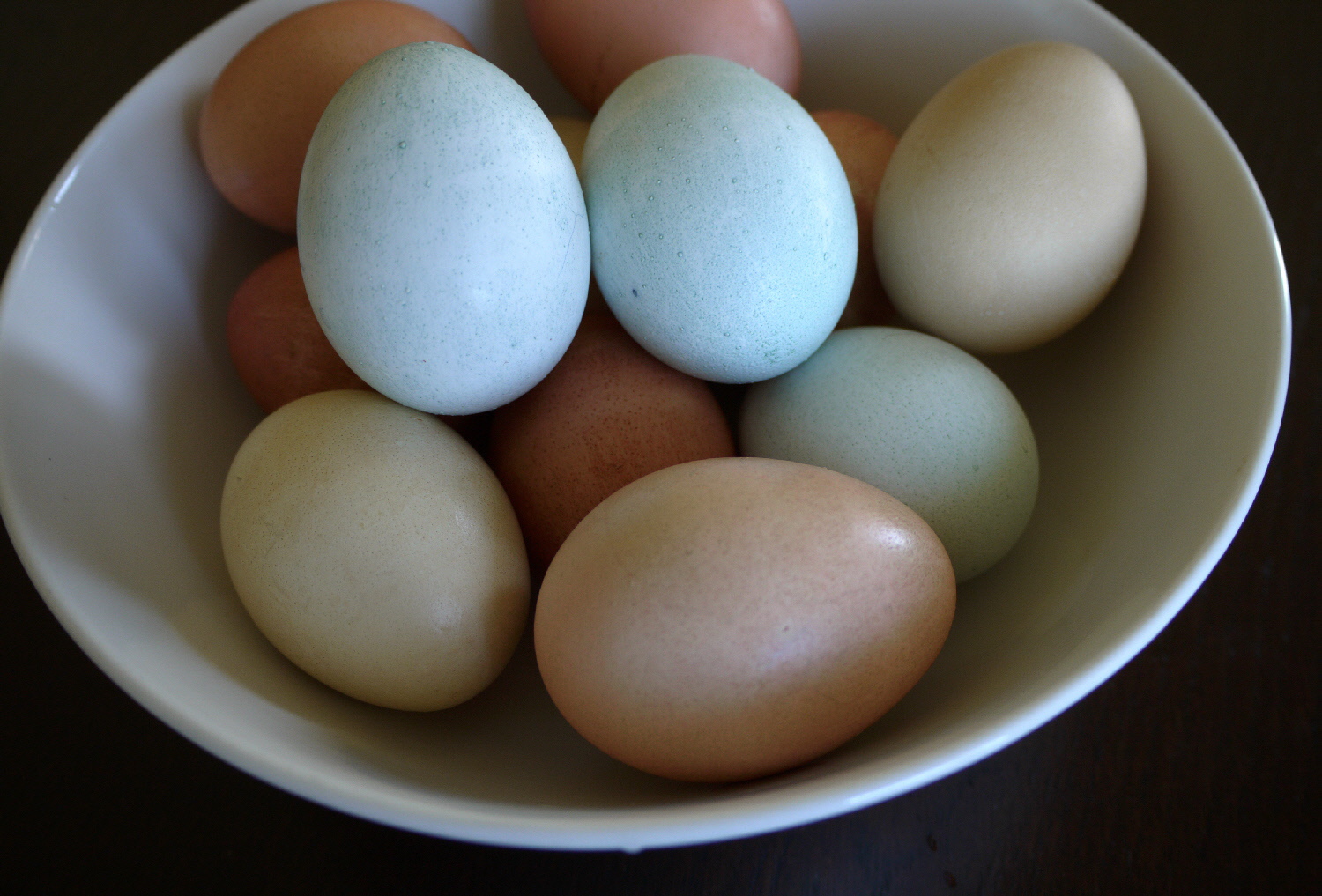 Category Beautiful Colors of Easter Eggs