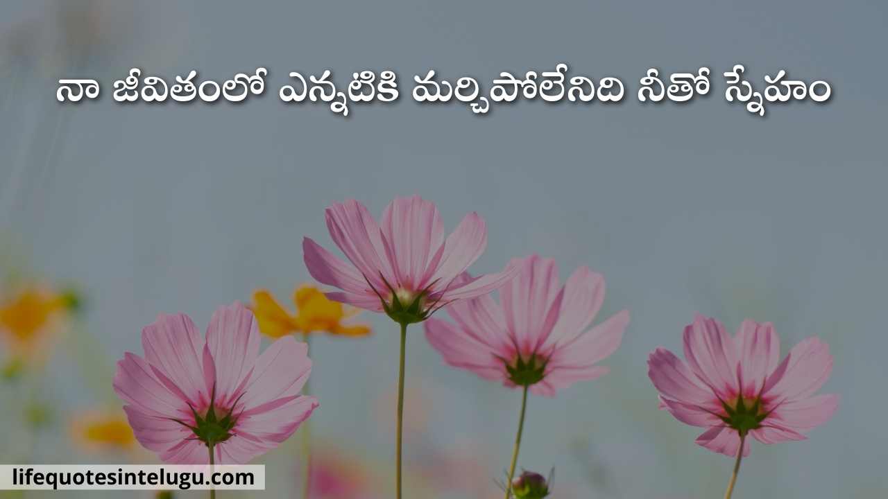 Friendship Quotes In Telugu