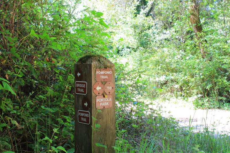 Eye On The View Portola Redwoods State Park Bridge Road