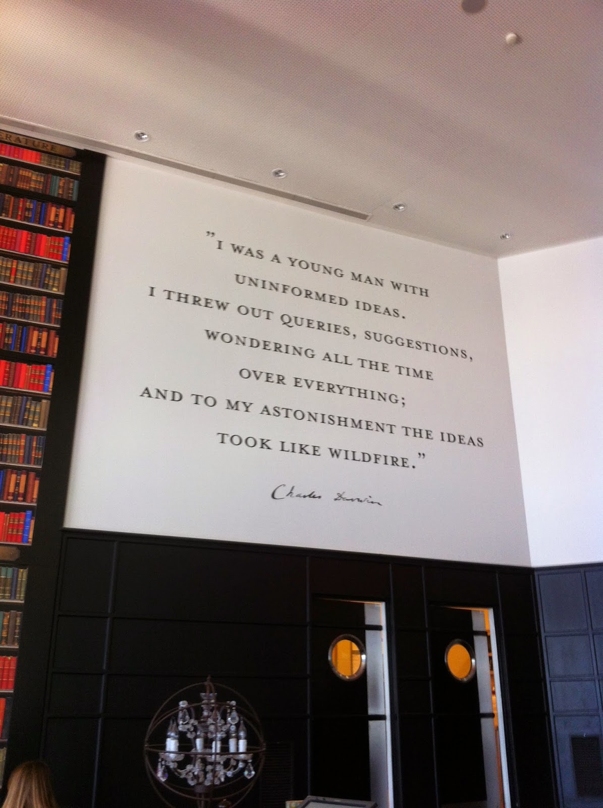 do chefe ao chef Darwin's Cafe