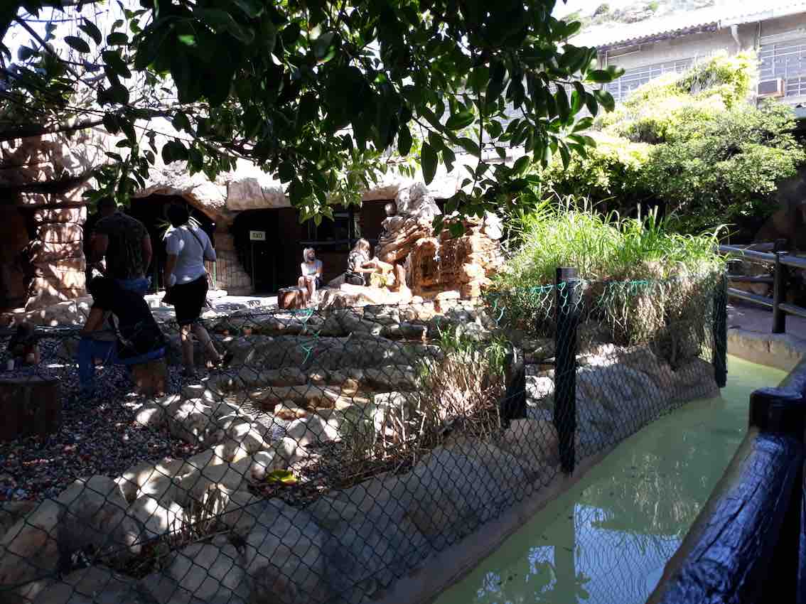 A Review of the Simon’s Town Scratch Patch The Sharonicles