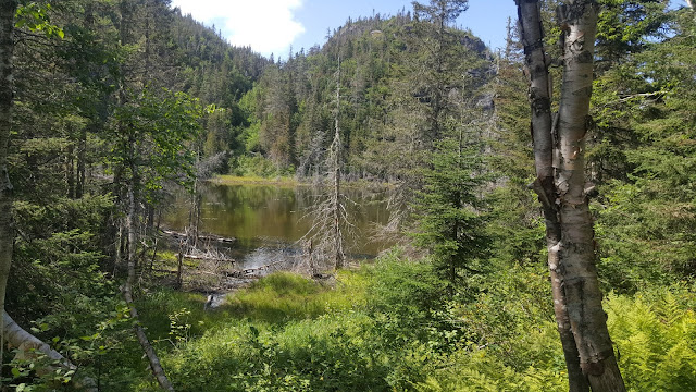 Petit lac juste avant le sommet du Pic de la Hutte