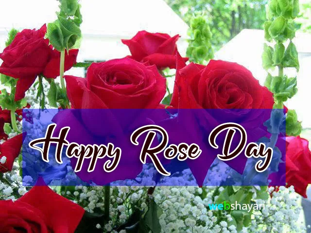 happy rose day images dikhao