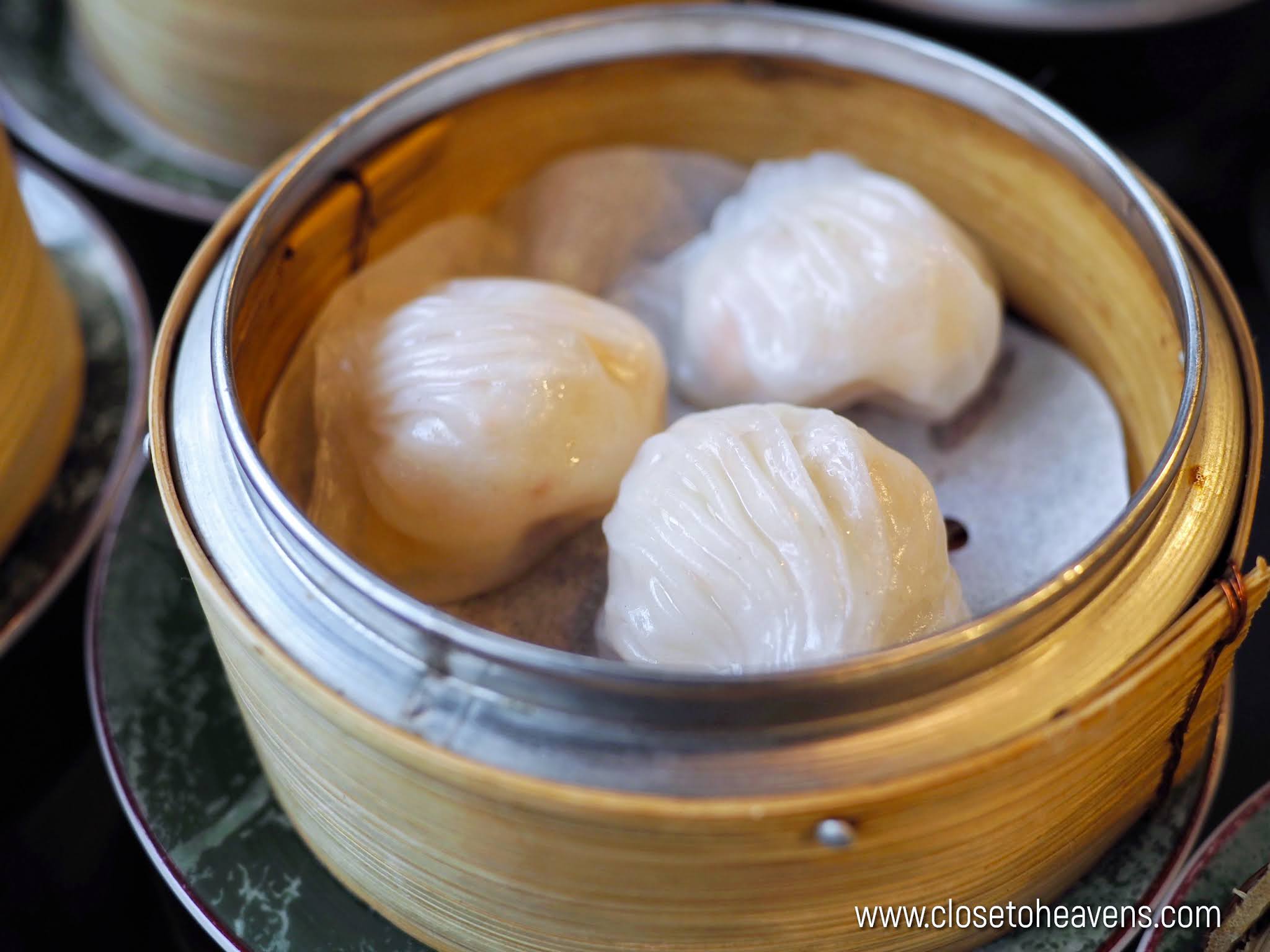 Dim Sum Buffet | Dynasty @ Centara Grand Ladprao