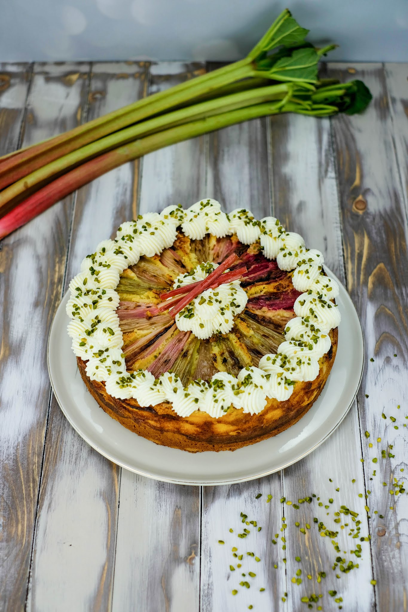 Rhabarber-Pudding Kuchen | Marion&amp;#39;s Kaffeeklatsch