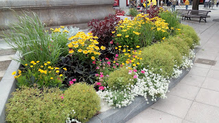 Solución Floral en La Fuente de las Musas  (Plaza de Navarra-Huesca)