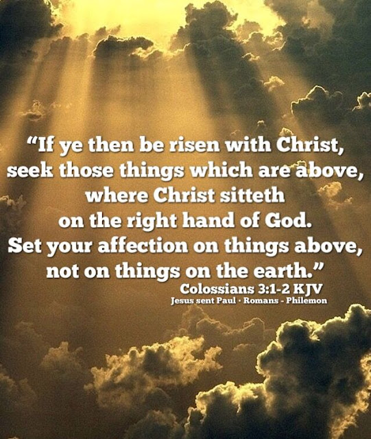 What the Bible Contains Pt. 11 The Preeminence of Jesus Christ in all