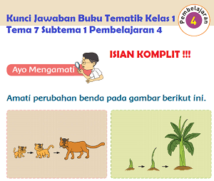 Terbaru Kunci Jawaban Tematik Kelas 1 Tema 7 Subtema 1 Pembelajaran 4 Jawaban Tematik Siswa