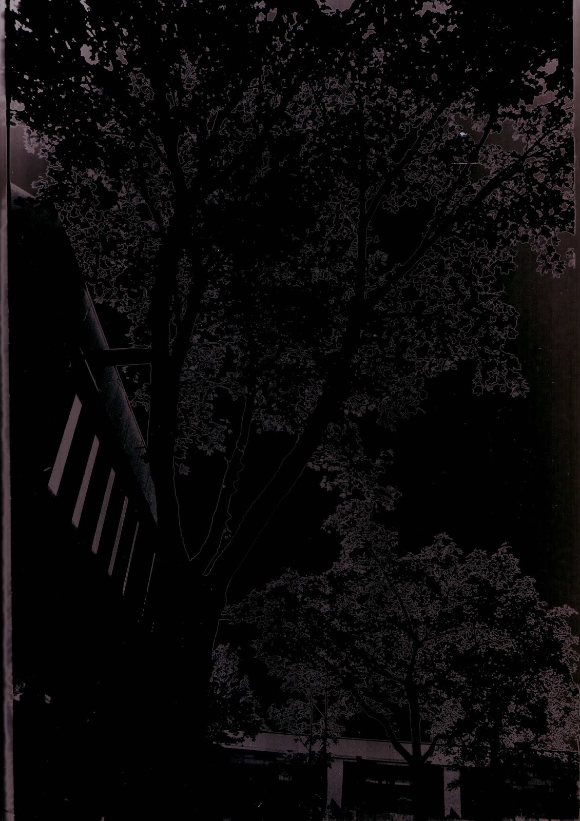 Unit 32 experimental imagery in photography : solarisation