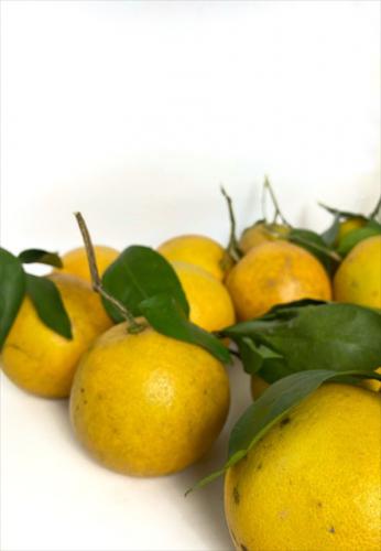 8205b2bc b96e 4d85 aea2 11a9b318d8c3 1