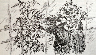 Сколько всего рассказов написал пушкин 8