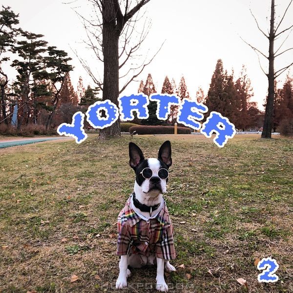 yovng trucker – yorter 2 – EP