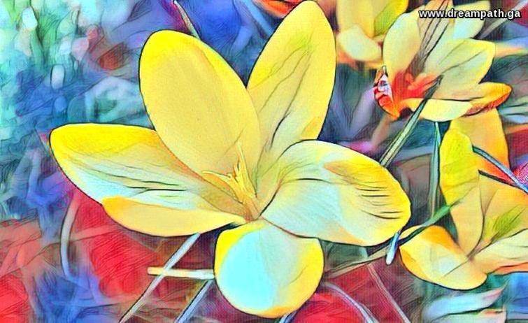 flowerrs flowers