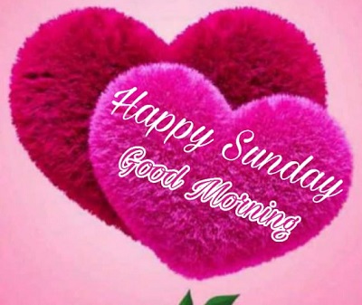 Good Morning Happy Sunday | 25+ Good morning happy Sunday Images Good Morning Happy Sunday | 25+ Good morning happy Sunday Images