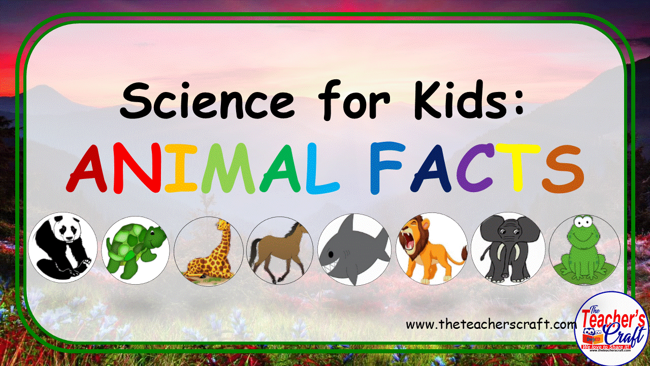 Science for Kids: Animal Facts - The Teacher's Craft