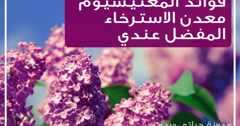 حياتي وردي فوائد المغنيسيوم للجسم و اين يوجد المغنيسيوم بكثرة