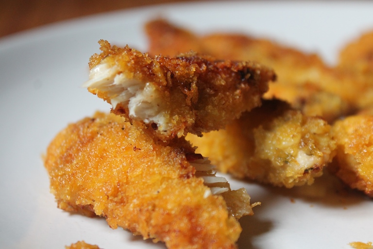 Crispy Chicken Fingers Recipe - Toddler Recipes - Yummy Tummy