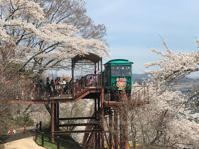 Shibata Sakura Festival