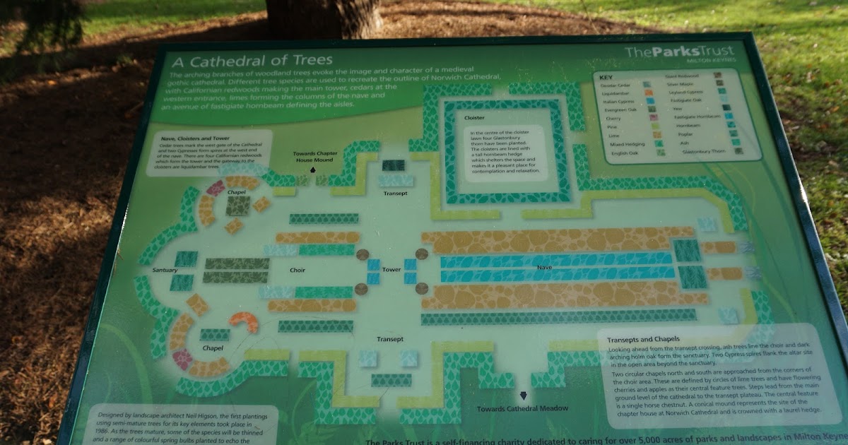 Camphill Community MiltonKeynes The Tree Cathedral