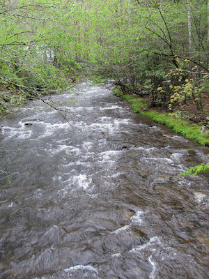 creek gap trails