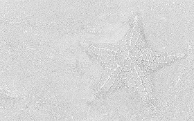 Starfish sea stars coloring pages coloring.filminspector.com