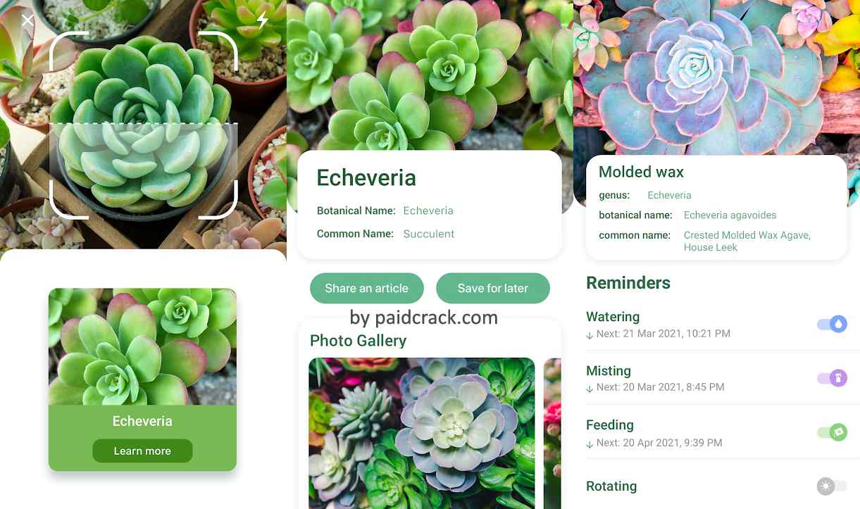 Nature ID - Identify plants, flowers, trees & leaves Mod Apk Nature ID - Identify plants, flowers, trees & leaves Mod Apk