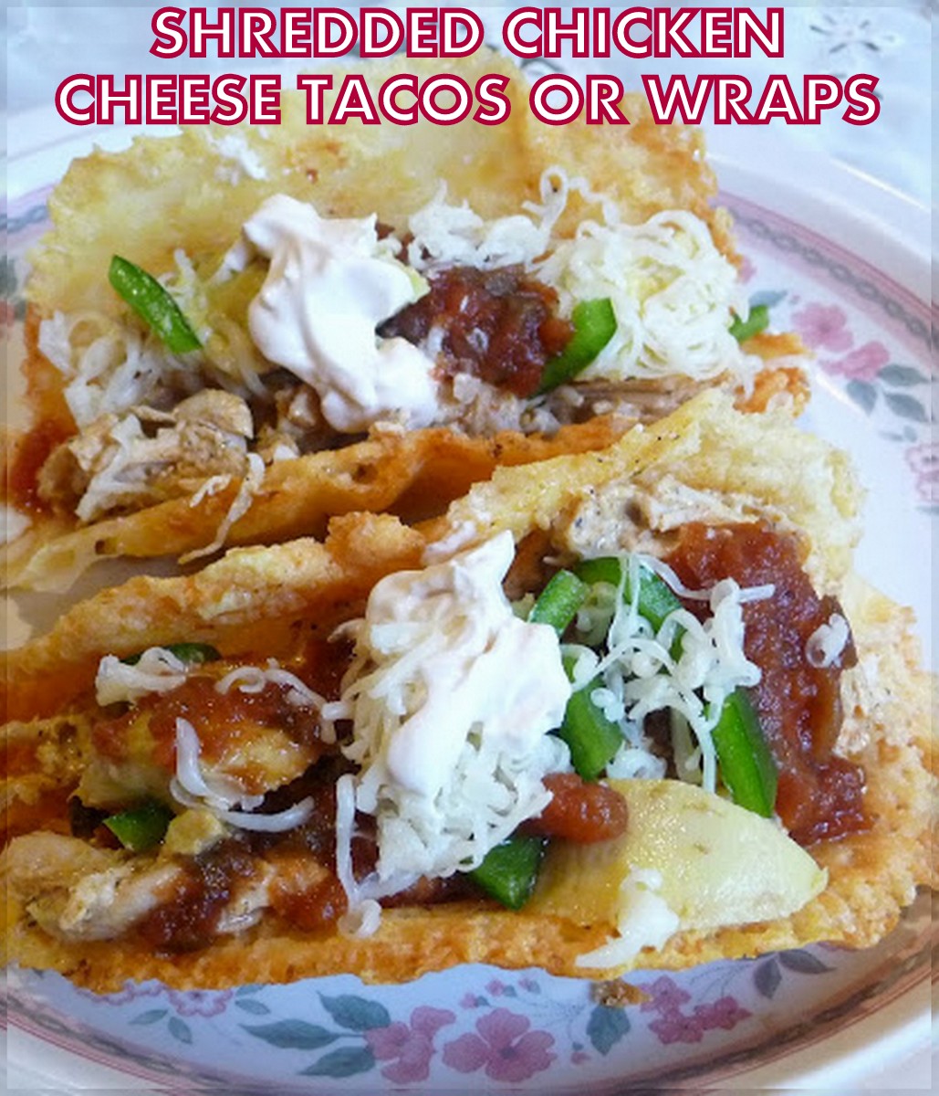 SPLENDID LOWCARBING BY JENNIFER ELOFF MEXICAN SHREDDED CHICKEN CHEESE