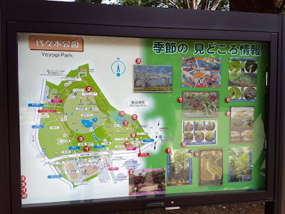 10D9N Spring Japan Trip: Yoyogi Park, Tokyo