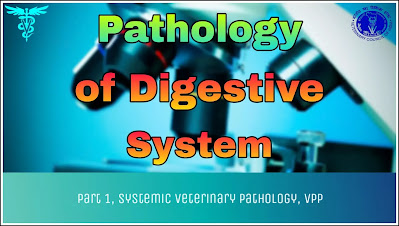 Pathology of Digestive System