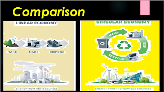 comparison between circular and linear economy